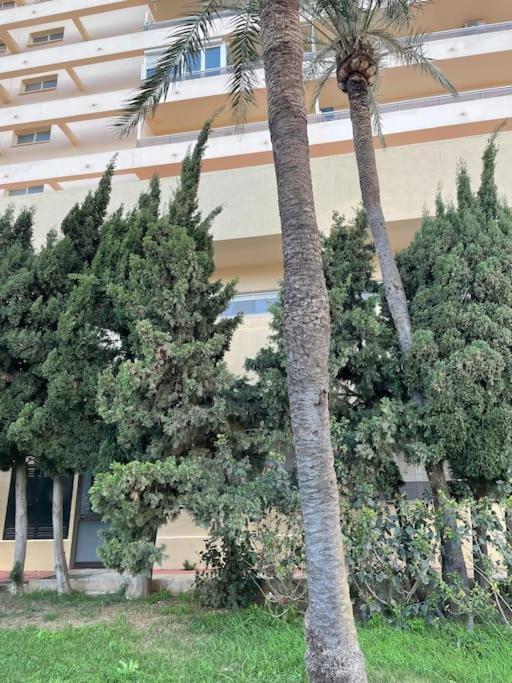 Klimatyczny Loft I Egzotyczny Basen Apartamento Benalmádena Exterior foto