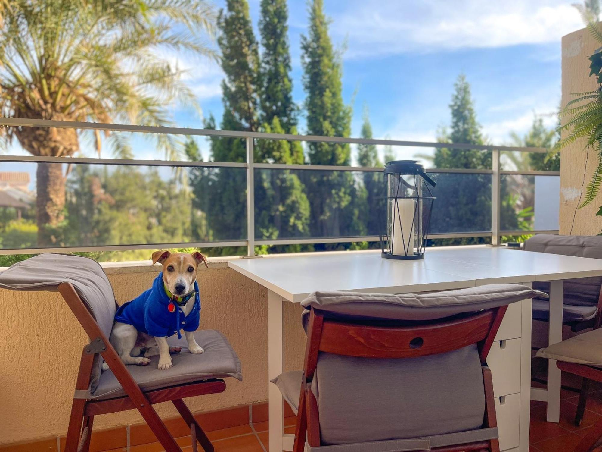 Klimatyczny Loft I Egzotyczny Basen Apartamento Benalmádena Exterior foto