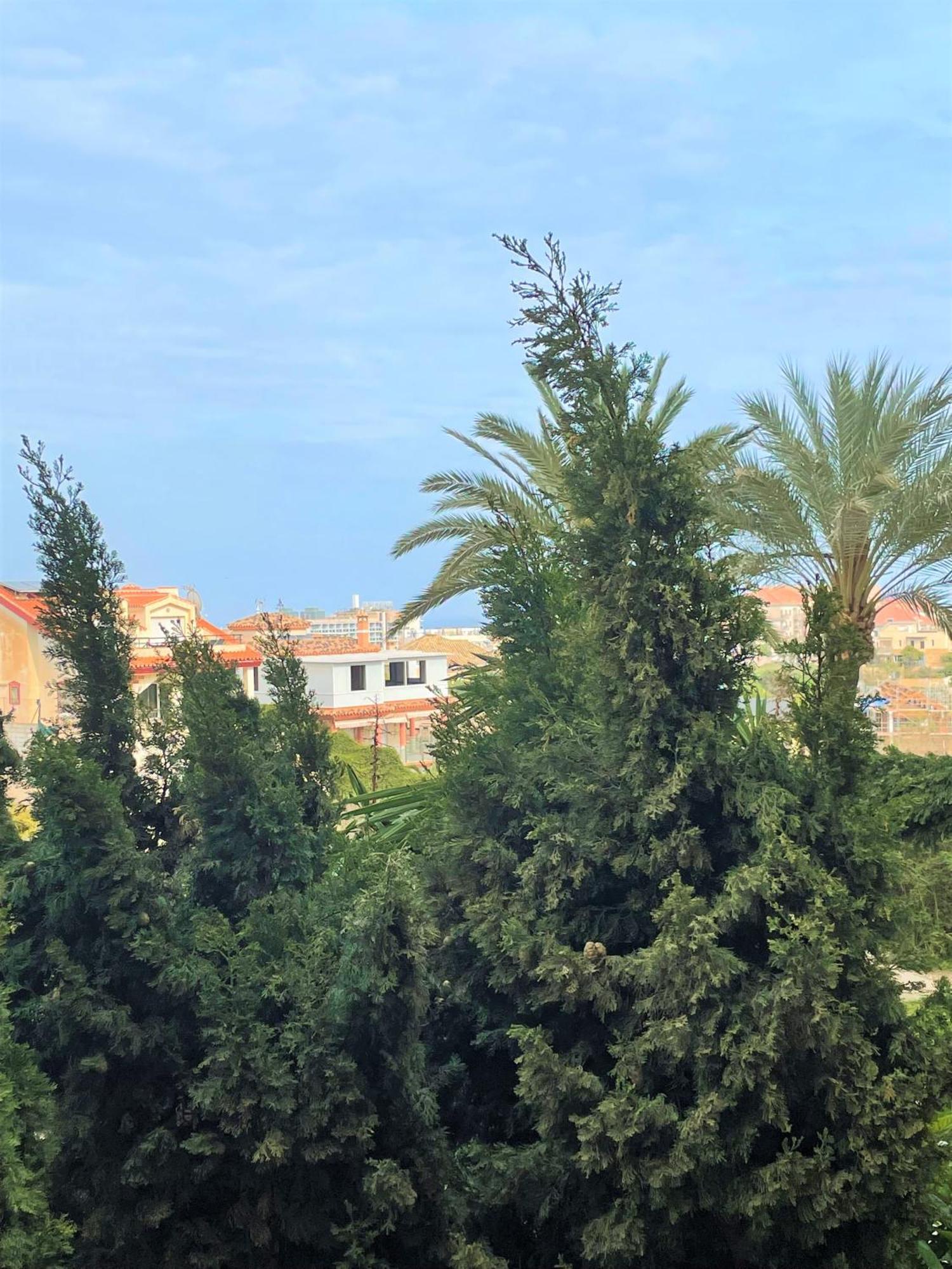 Klimatyczny Loft I Egzotyczny Basen Apartamento Benalmádena Exterior foto